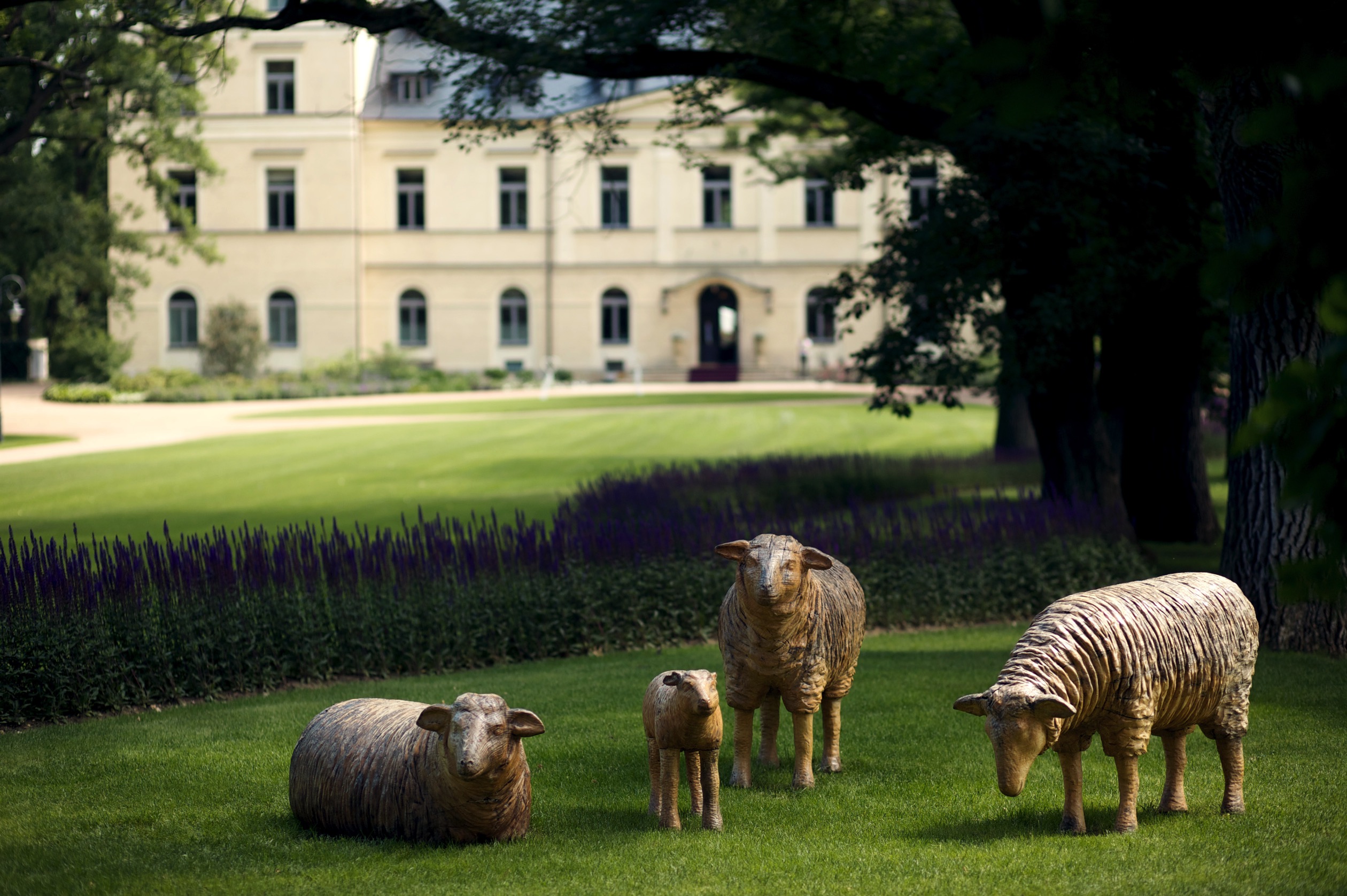  chateau mcely wooden sheep statues